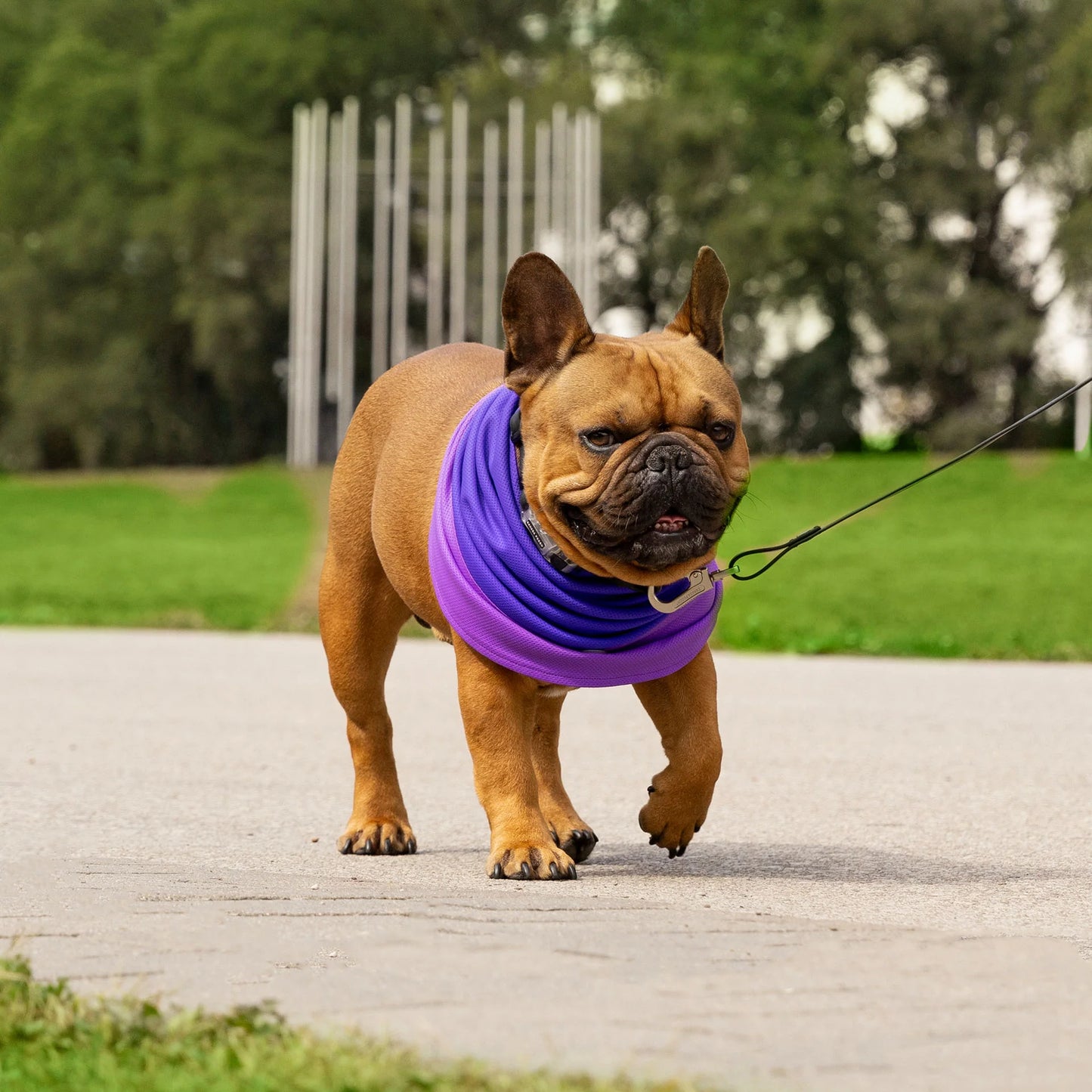 Max Chill Cooling Snood