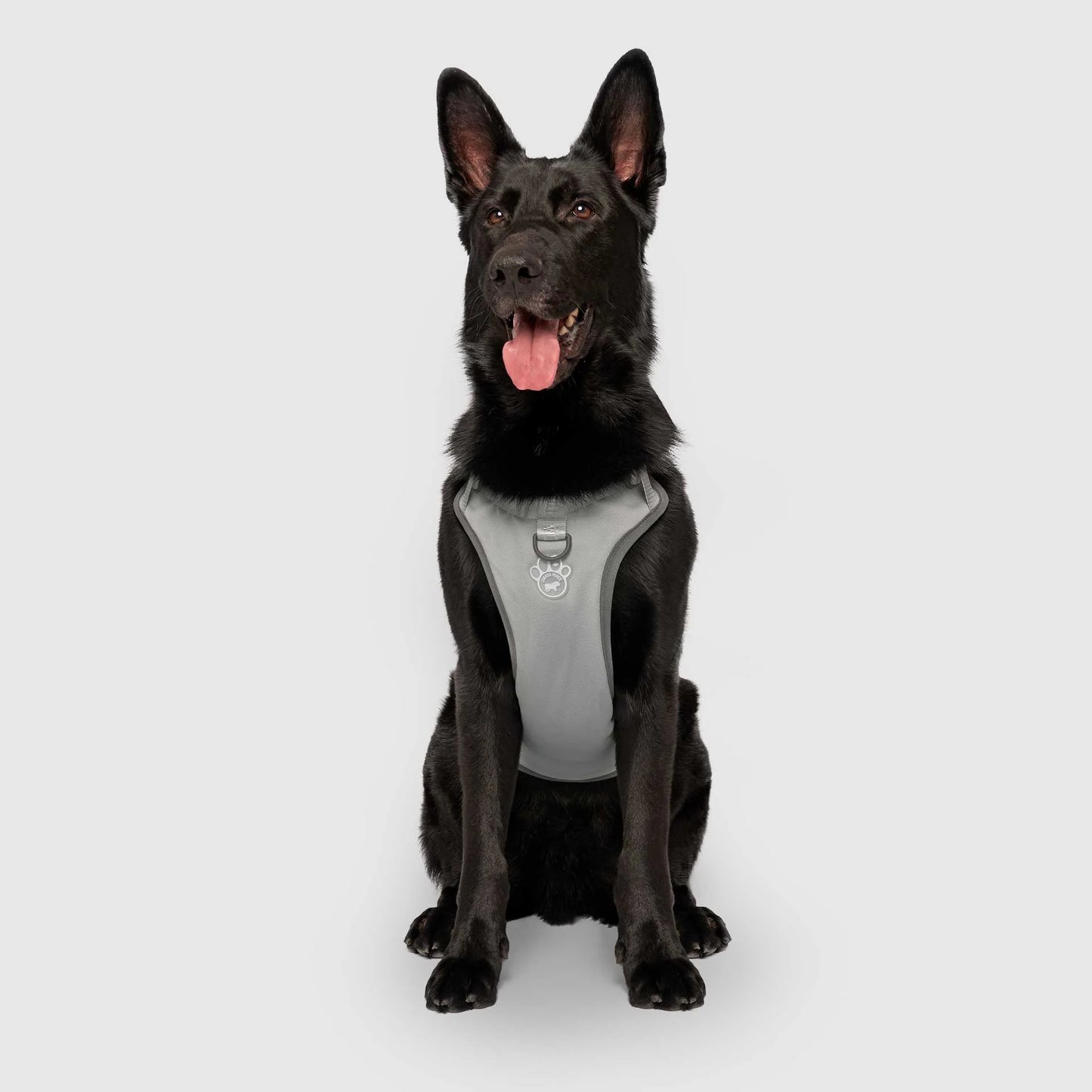 Max Chill Cooling Harness