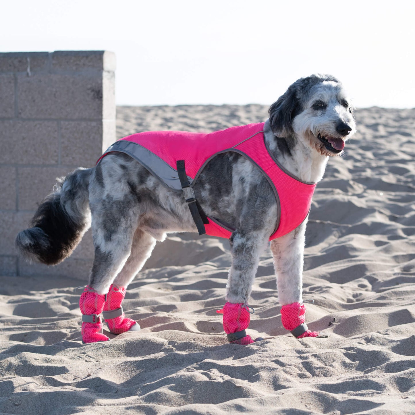 Chill Seeker Cooling Vest