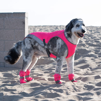 Chill Seeker Cooling Vest