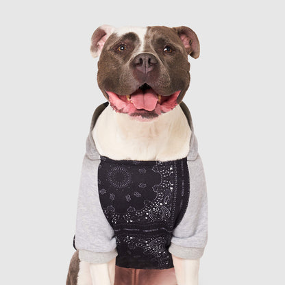 Whatever The Weather Hoodie