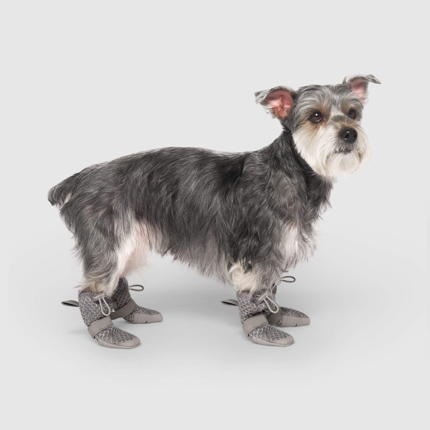 Hot Pavement Boots