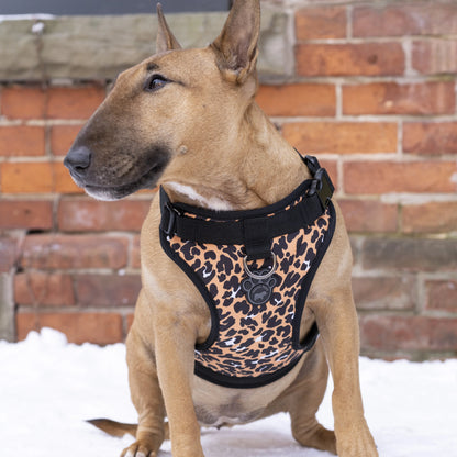 The Everything Harness Water-Resistant Series
