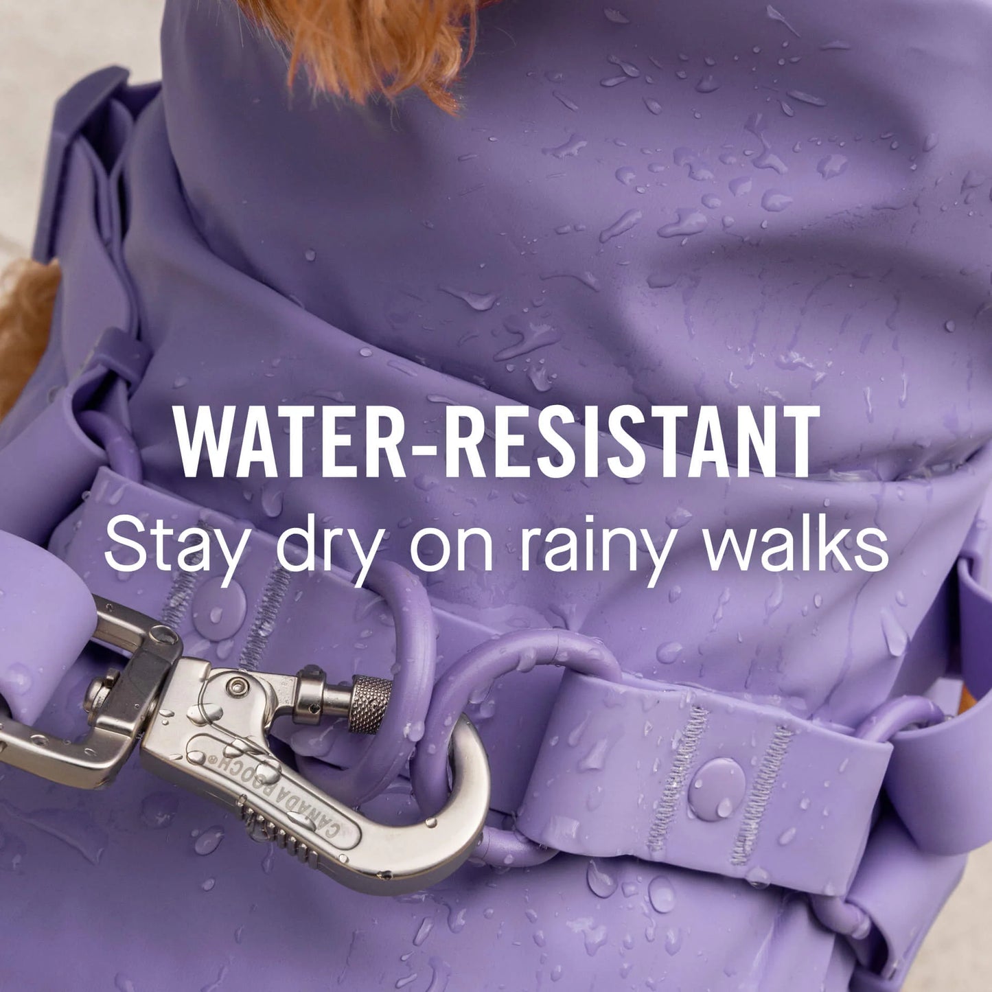 Harness Raincoat
