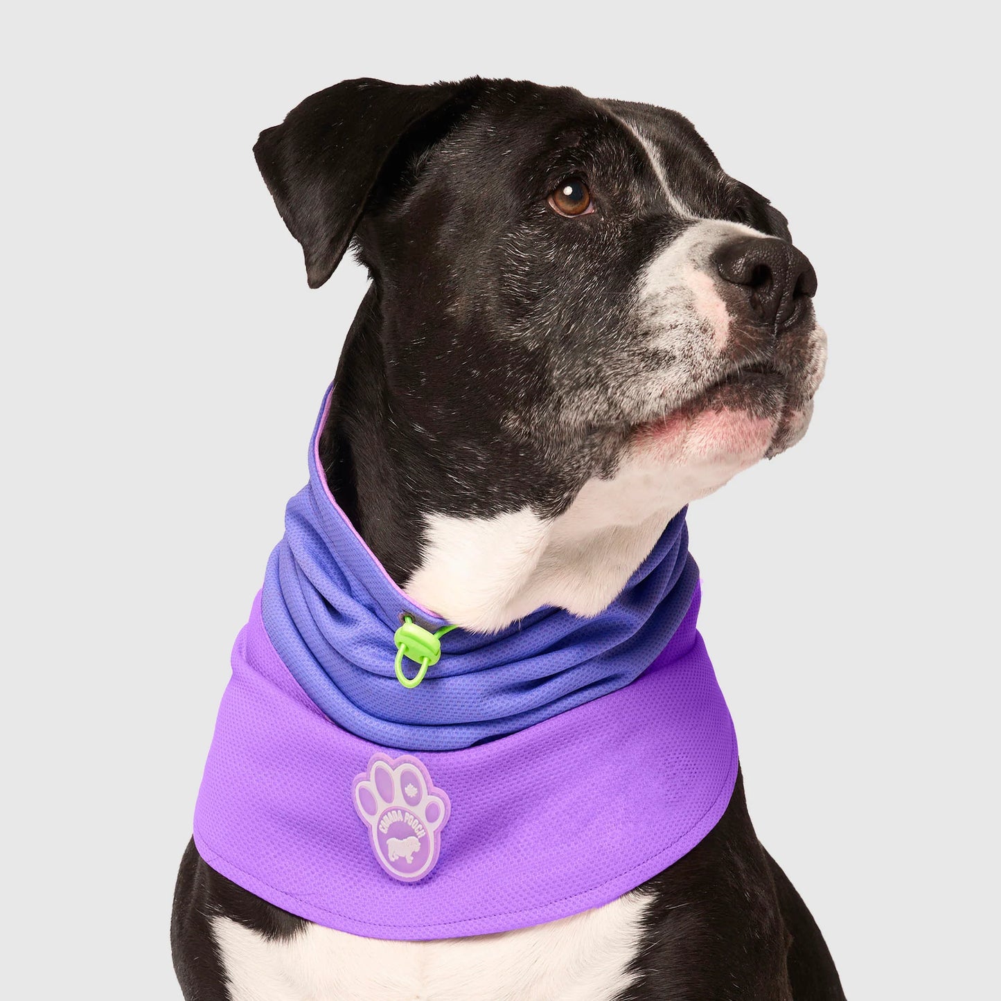 Max Chill Cooling Snood