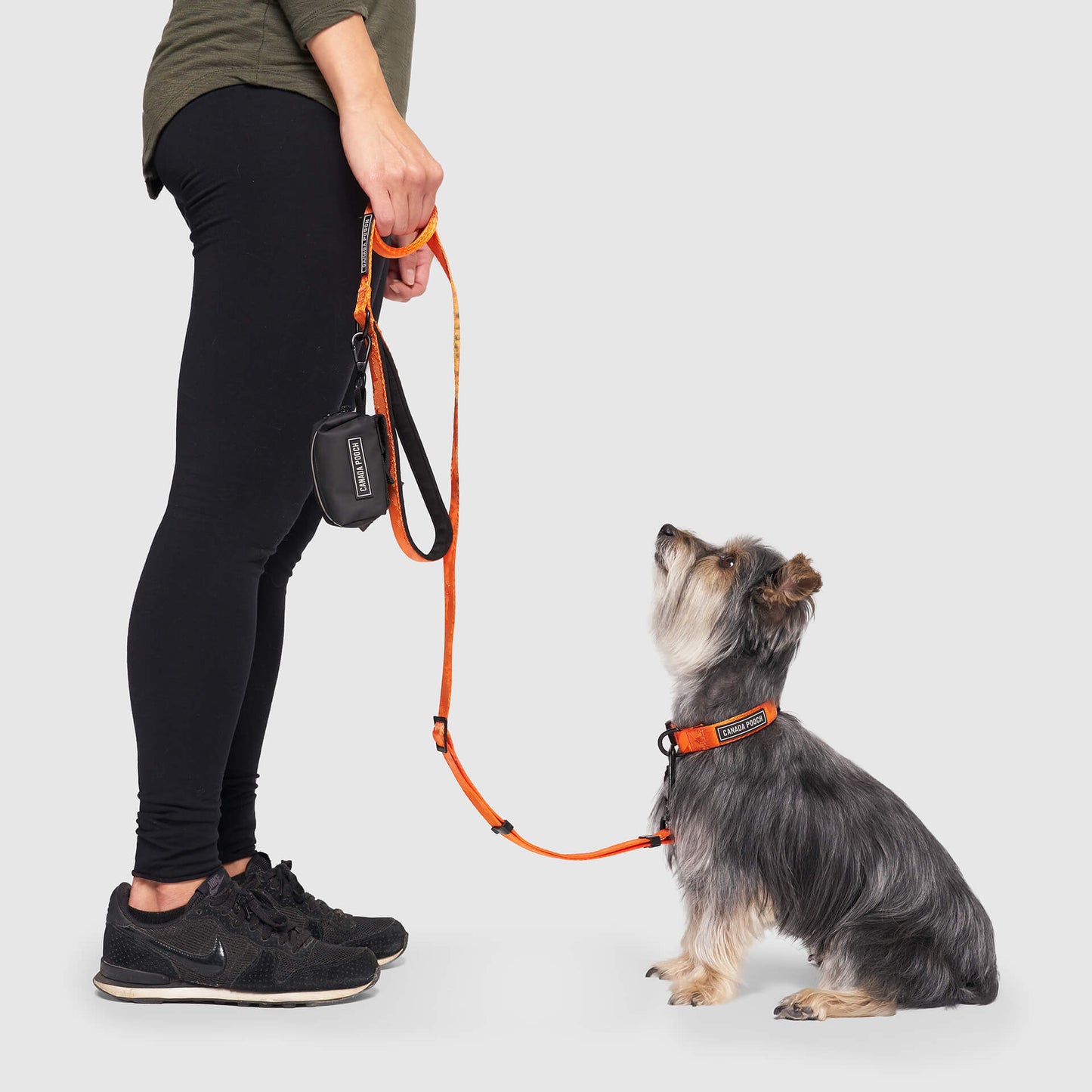 Utility Leash