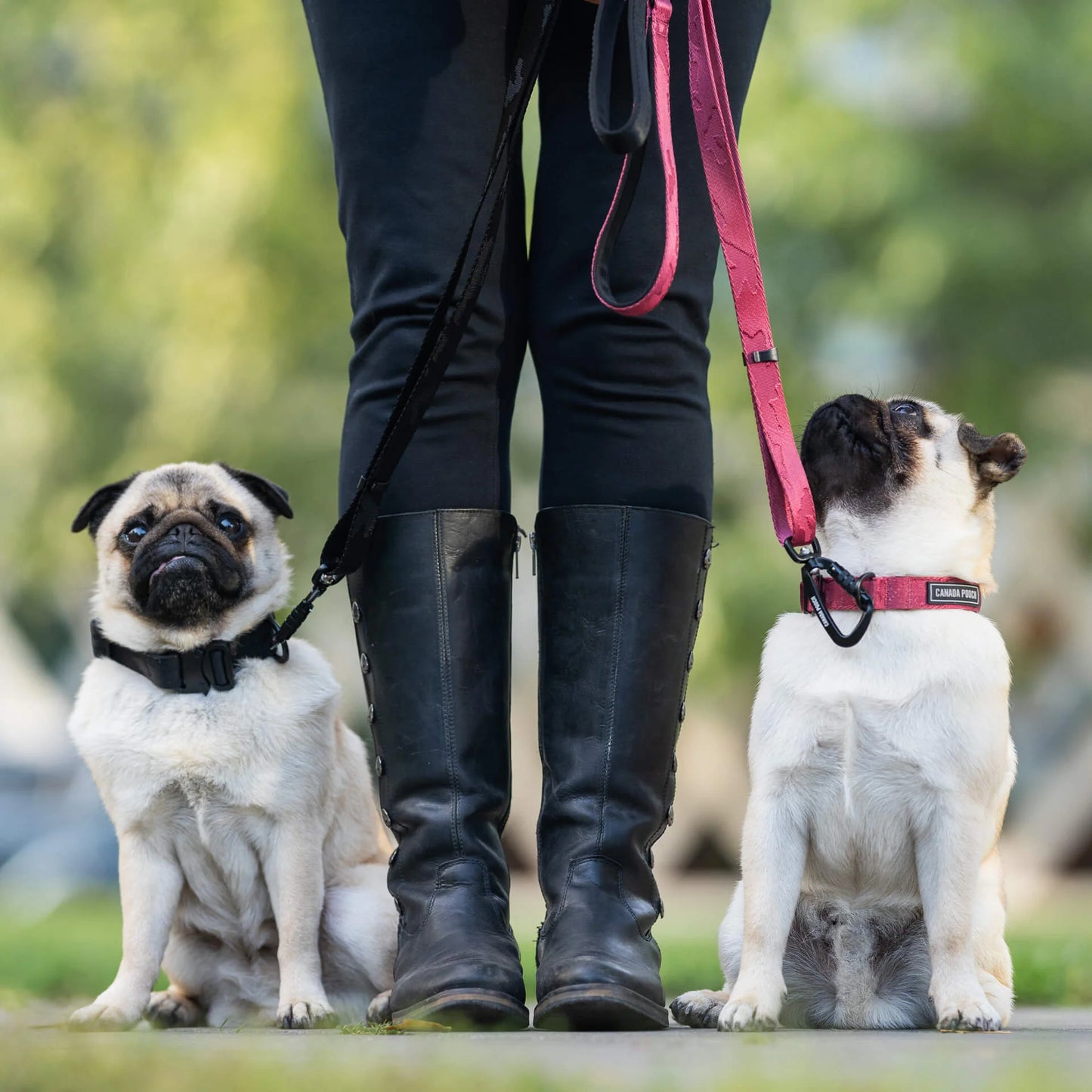 Utility Leash