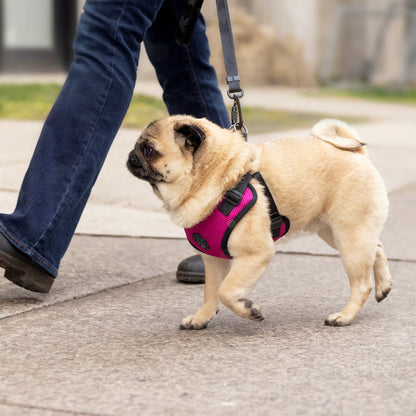 Easy-On Step-In Harness