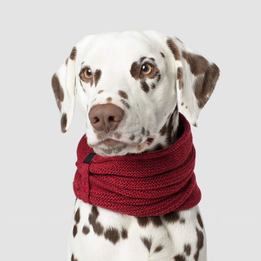 Sierra Scarf
