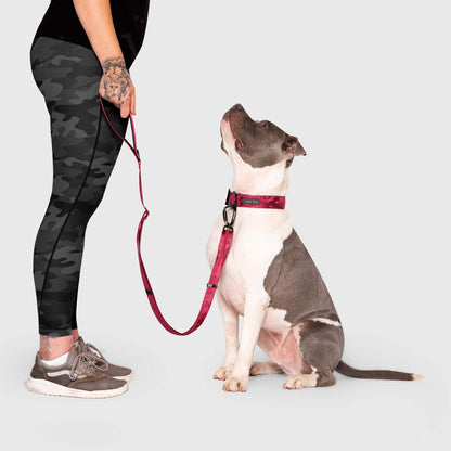 Utility Leash