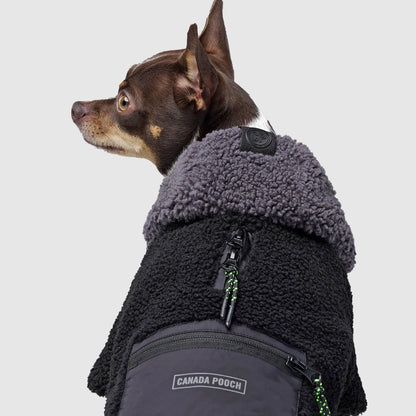 Cool Factor Hoodie