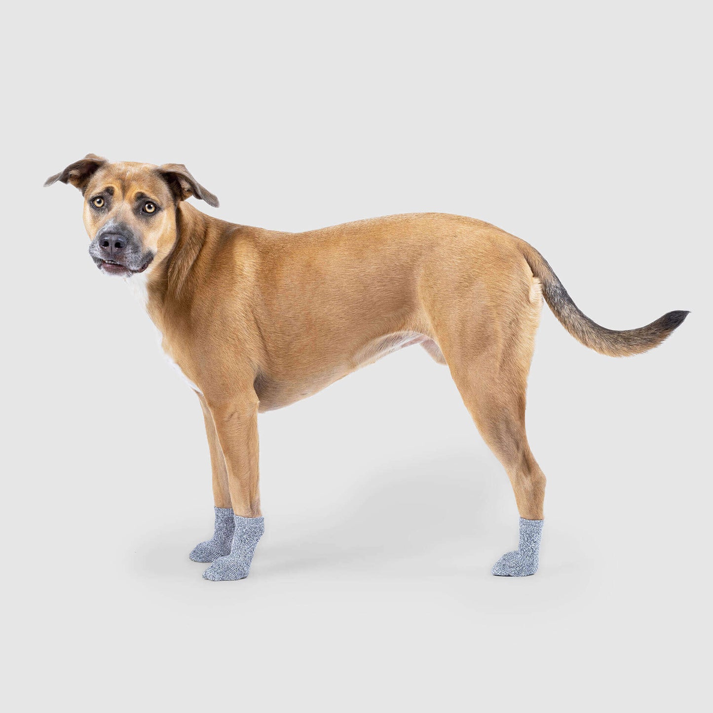 The Basic Sock