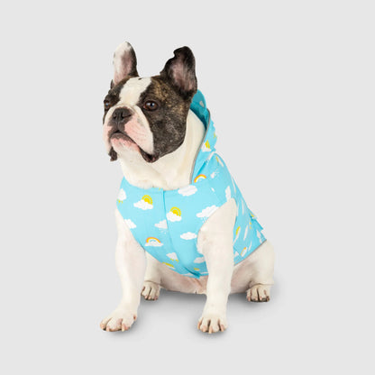Wet Reveal Torrential Tracker