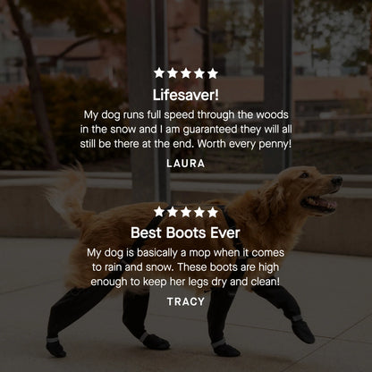 Suspender Boots