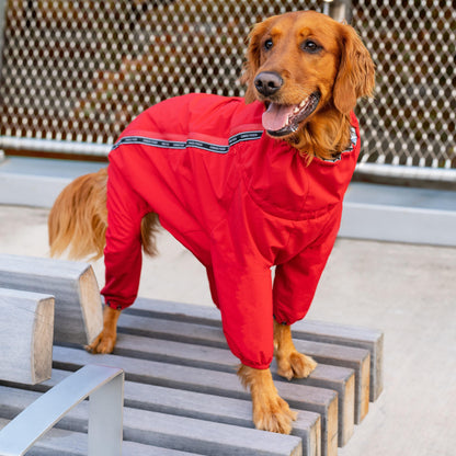 The Snow Suit