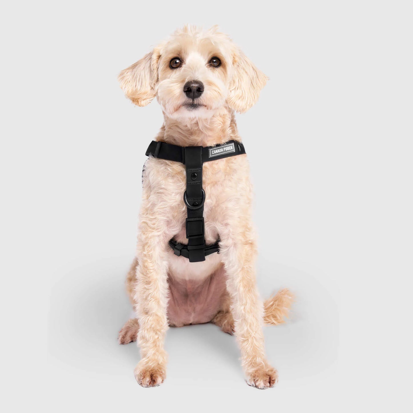 Waterproof Harness