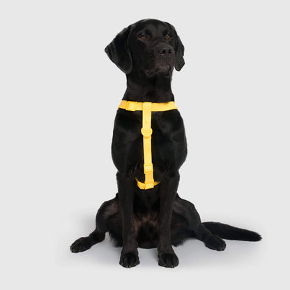 Waterproof Harness
