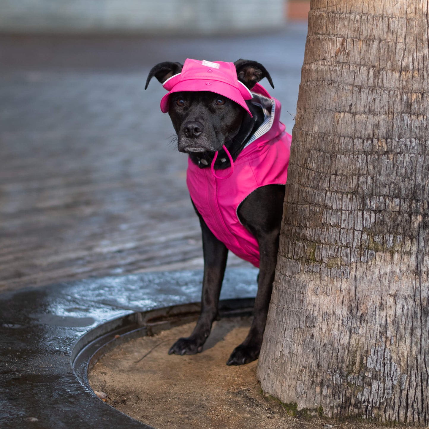 Torrential Tracker Rain Hat