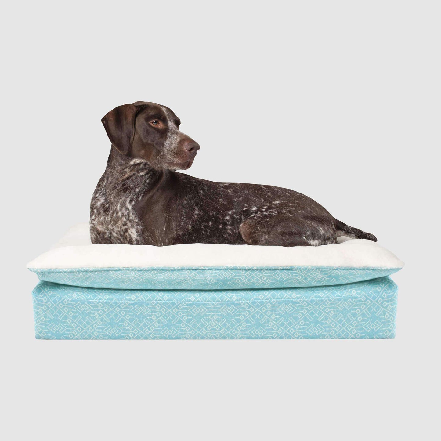Pillow Topper Birch Bed
