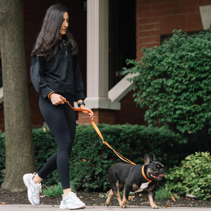 Utility Leash