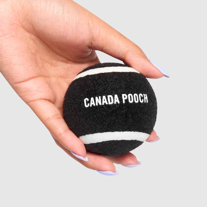 Go Fetch Tennis Ball & Silicone Holder