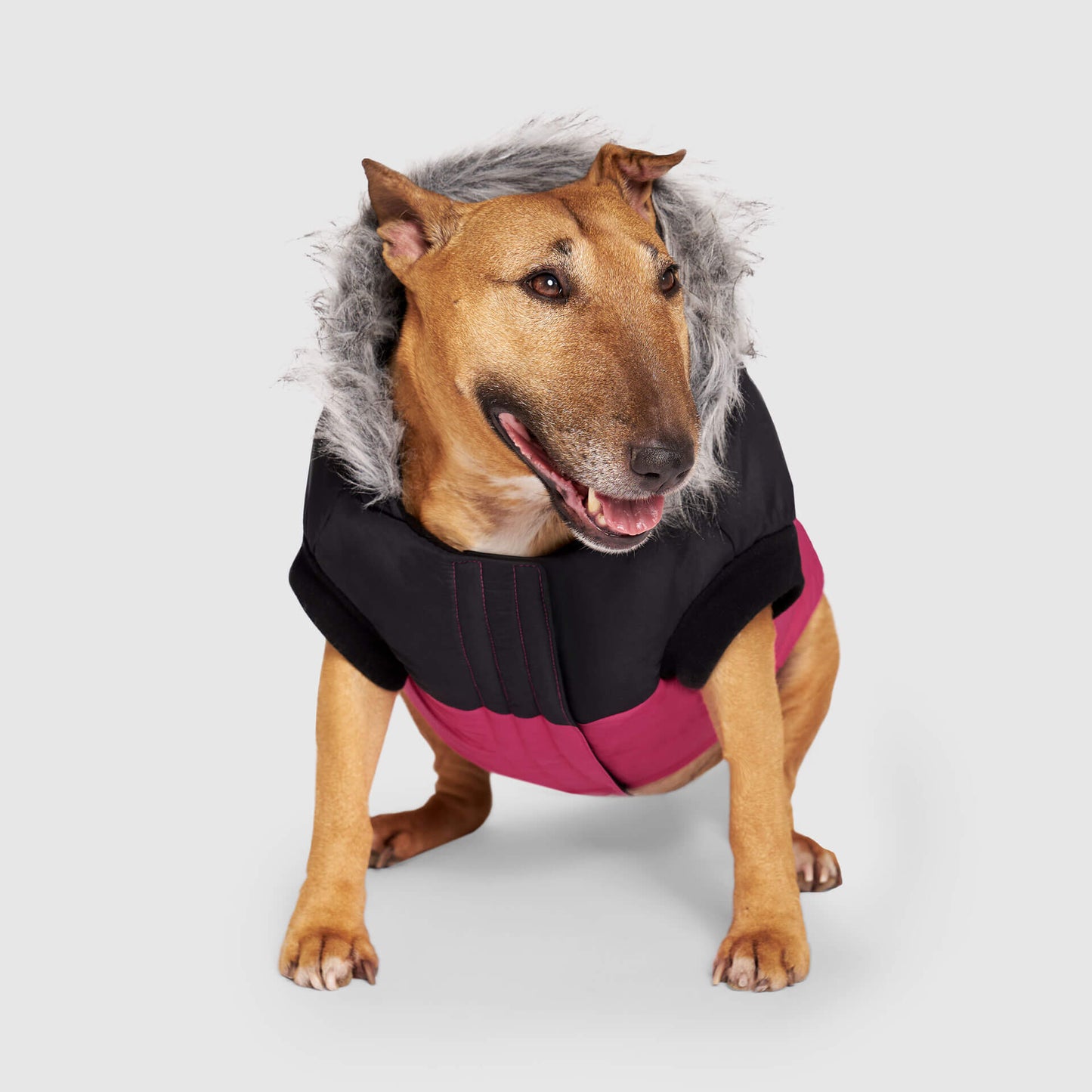 True North Parka
