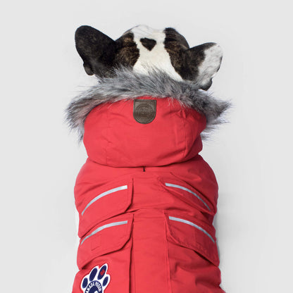 Everest Explorer Jacket