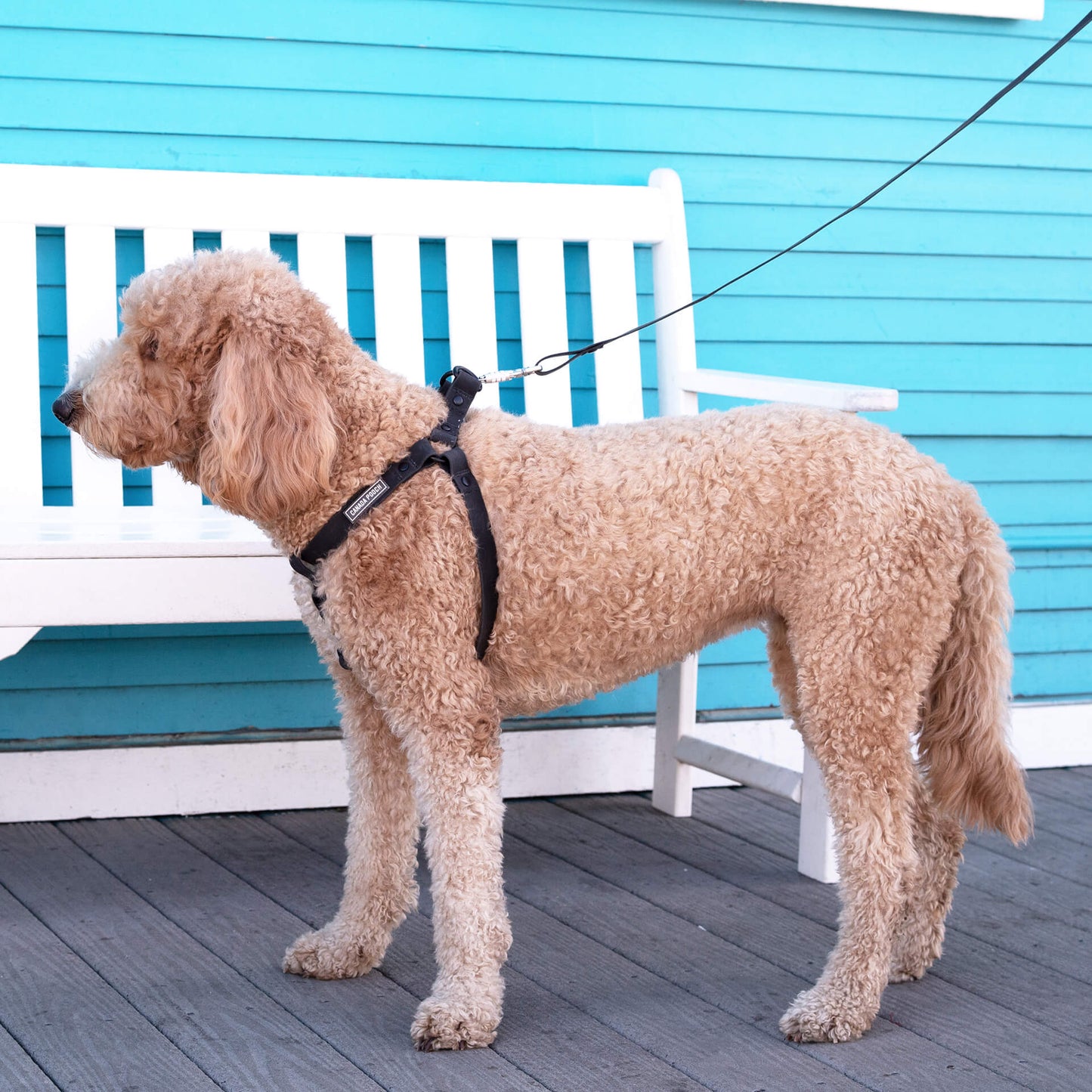 Waterproof Harness