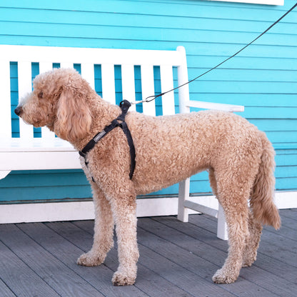 Waterproof Harness